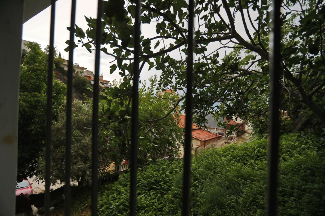 Terranova