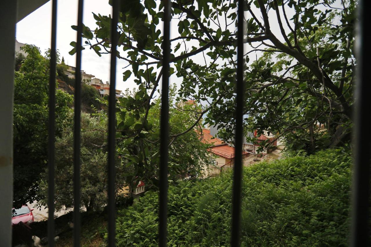 Terranova